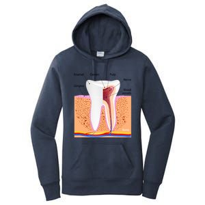 Dental Anatomy For Normal Tooth Dentin Enamel Gingiva Pulp Meaningful Gift Women's Pullover Hoodie