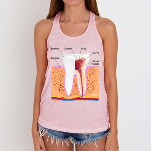 Dental Anatomy For Normal Tooth Dentin Enamel Gingiva Pulp Meaningful Gift Women's Knotted Racerback Tank