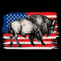 Distress American Flag Vintage Buffalo Flatbill Hat