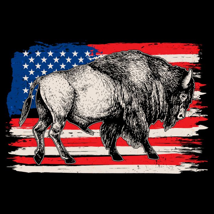 Distress American Flag Vintage Buffalo Flatbill Hat
