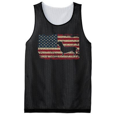 Dachshund America Flag Patriotic Weiner Dog Gift Mesh Reversible Basketball Jersey Tank