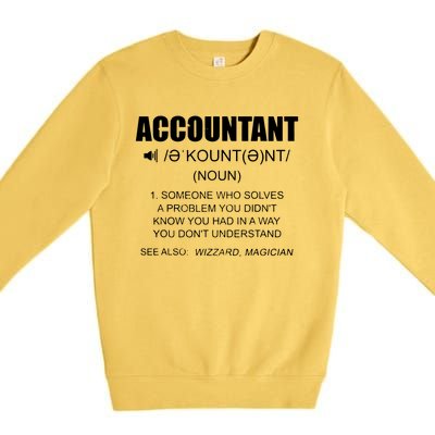 Definition Accountant Funny CPA Gift Taxation Audit Taxes Premium Crewneck Sweatshirt