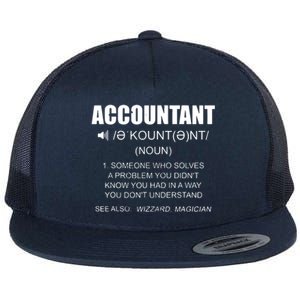 Definition Accountant Funny CPA Gift Taxation Audit Taxes Flat Bill Trucker Hat