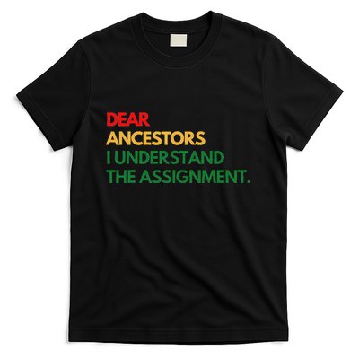 Dear Ancestors I Understand The Assignment T-Shirt