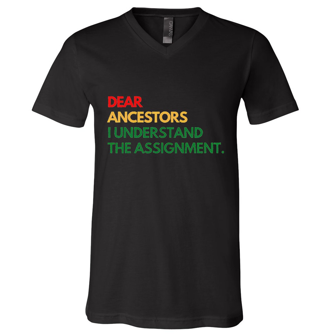 Dear Ancestors I Understand The Assignment V-Neck T-Shirt
