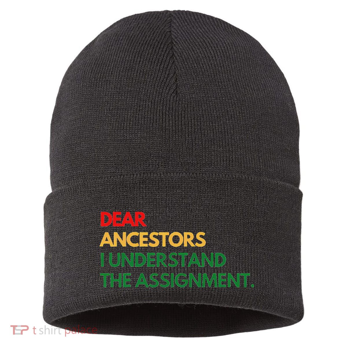 Dear Ancestors I Understand The Assignment Sustainable Knit Beanie