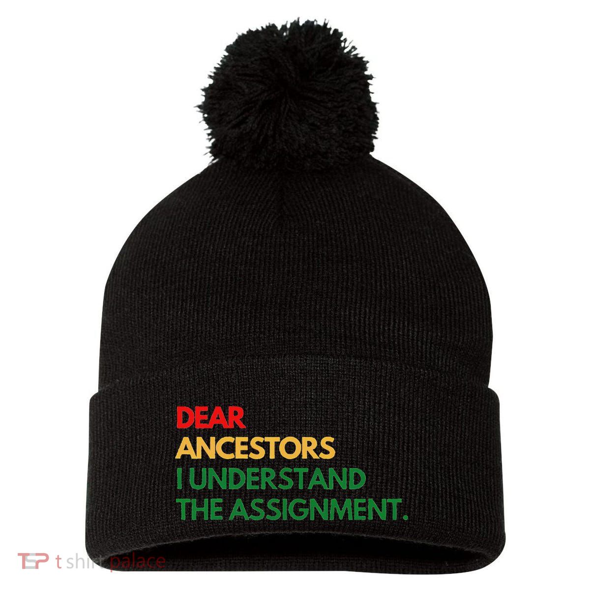 Dear Ancestors I Understand The Assignment Pom Pom 12in Knit Beanie
