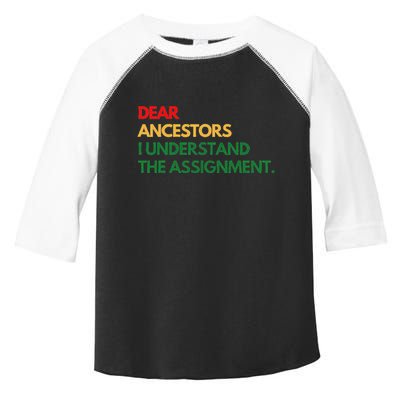 Dear Ancestors I Understand The Assignment Toddler Fine Jersey T-Shirt