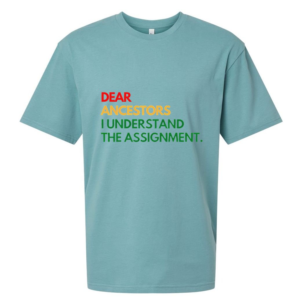 Dear Ancestors I Understand The Assignment Sueded Cloud Jersey T-Shirt