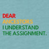 Dear Ancestors I Understand The Assignment Sueded Cloud Jersey T-Shirt
