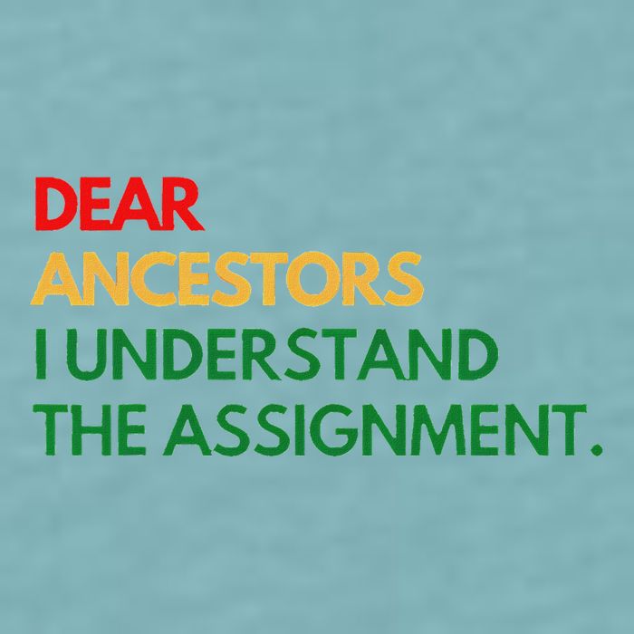Dear Ancestors I Understand The Assignment Sueded Cloud Jersey T-Shirt