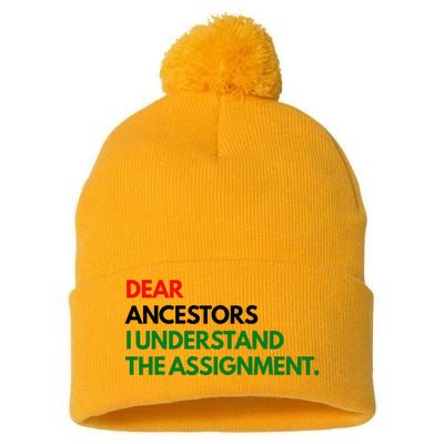 Dear Ancestors I Understand The Assignment Pom Pom 12in Knit Beanie