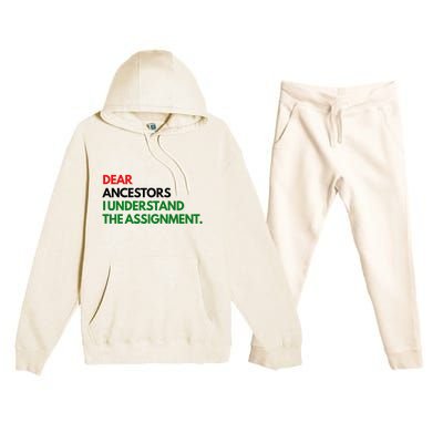 Dear Ancestors I Understand The Assignment Premium Hooded Sweatsuit Set