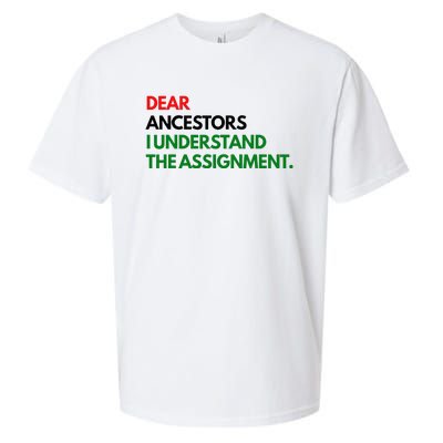 Dear Ancestors I Understand The Assignment Sueded Cloud Jersey T-Shirt