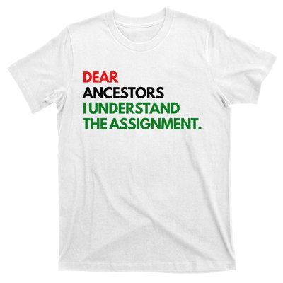 Dear Ancestors I Understand The Assignment T-Shirt