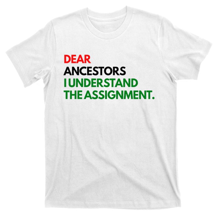 Dear Ancestors I Understand The Assignment T-Shirt