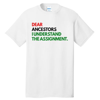 Dear Ancestors I Understand The Assignment Tall T-Shirt