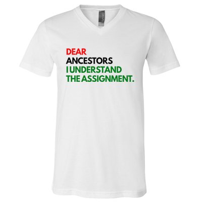 Dear Ancestors I Understand The Assignment V-Neck T-Shirt