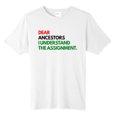 Dear Ancestors I Understand The Assignment Tall Fusion ChromaSoft Performance T-Shirt