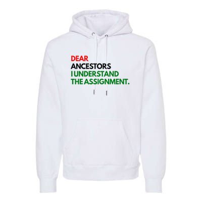 Dear Ancestors I Understand The Assignment Premium Hoodie