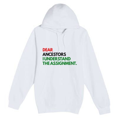 Dear Ancestors I Understand The Assignment Premium Pullover Hoodie