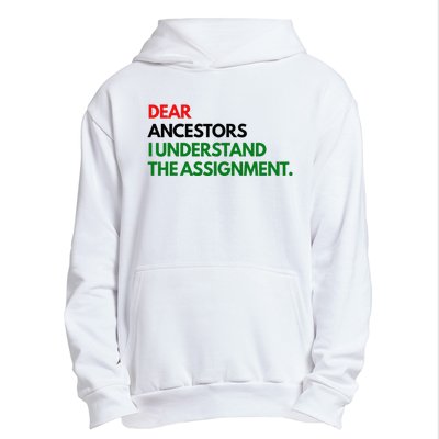 Dear Ancestors I Understand The Assignment Urban Pullover Hoodie