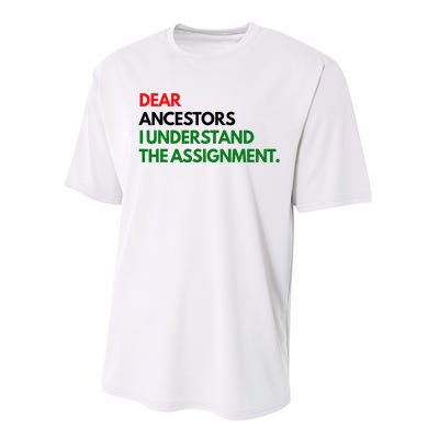 Dear Ancestors I Understand The Assignment Performance Sprint T-Shirt