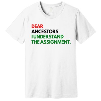 Dear Ancestors I Understand The Assignment Premium T-Shirt