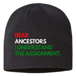 Dear Ancestors I Understand The Mission Sustainable Beanie