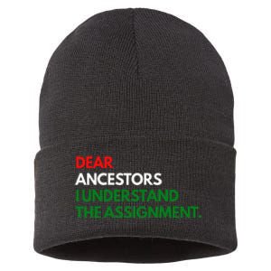 Dear Ancestors I Understand The Mission Sustainable Knit Beanie