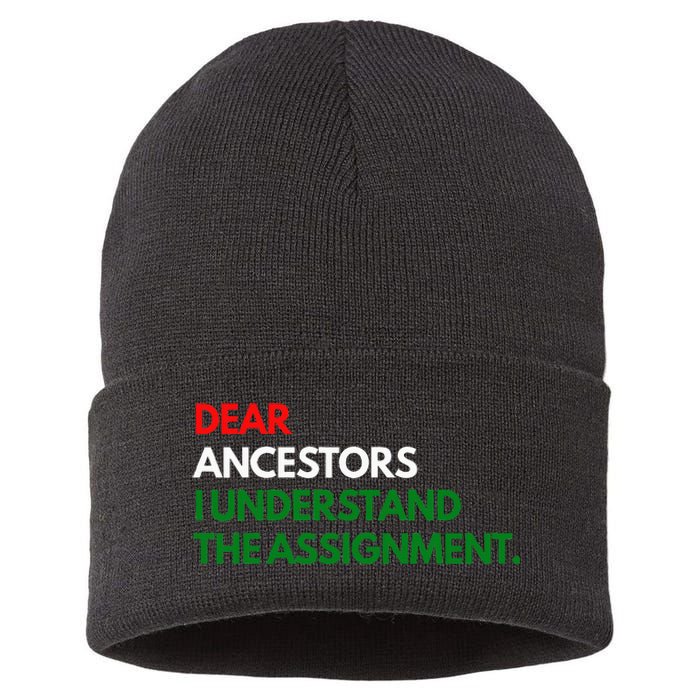 Dear Ancestors I Understand The Mission Sustainable Knit Beanie