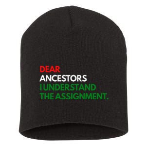 Dear Ancestors I Understand The Mission Short Acrylic Beanie