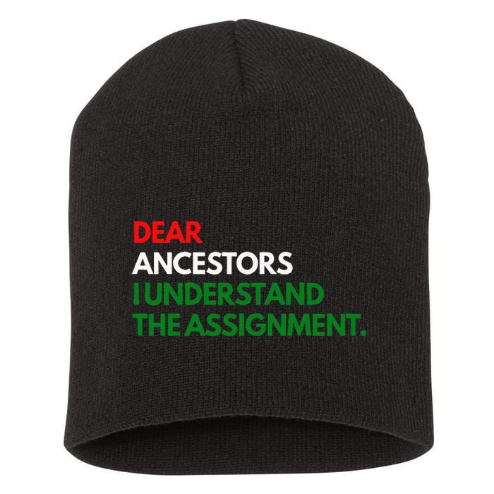 Dear Ancestors I Understand The Mission Short Acrylic Beanie