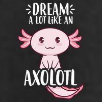 Dream A Lot Like An Axolotl Adult Drive Performance Visor