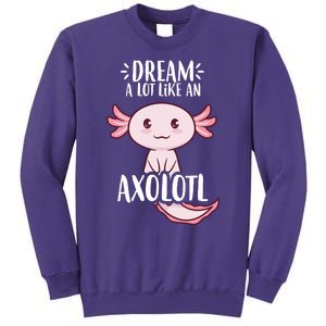 Dream A Lot Like An Axolotl Sweatshirt