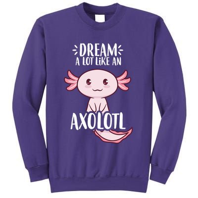 Dream A Lot Like An Axolotl Sweatshirt