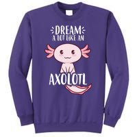 Dream A Lot Like An Axolotl Sweatshirt