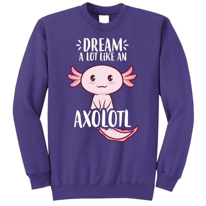 Dream A Lot Like An Axolotl Sweatshirt