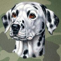 Dalmatian Face Legacy Tie Dye Trucker Hat