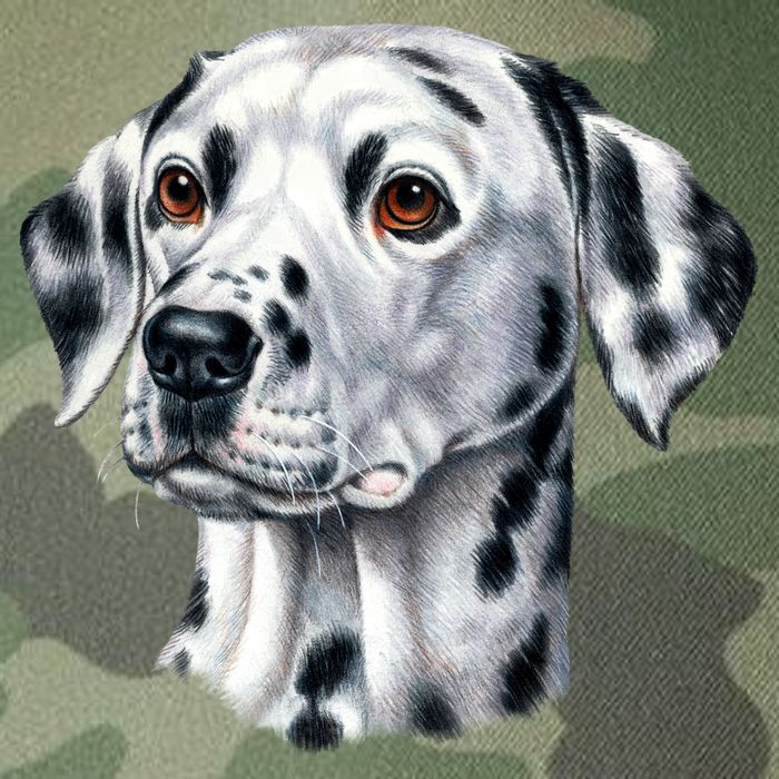 Dalmatian Face Legacy Tie Dye Trucker Hat