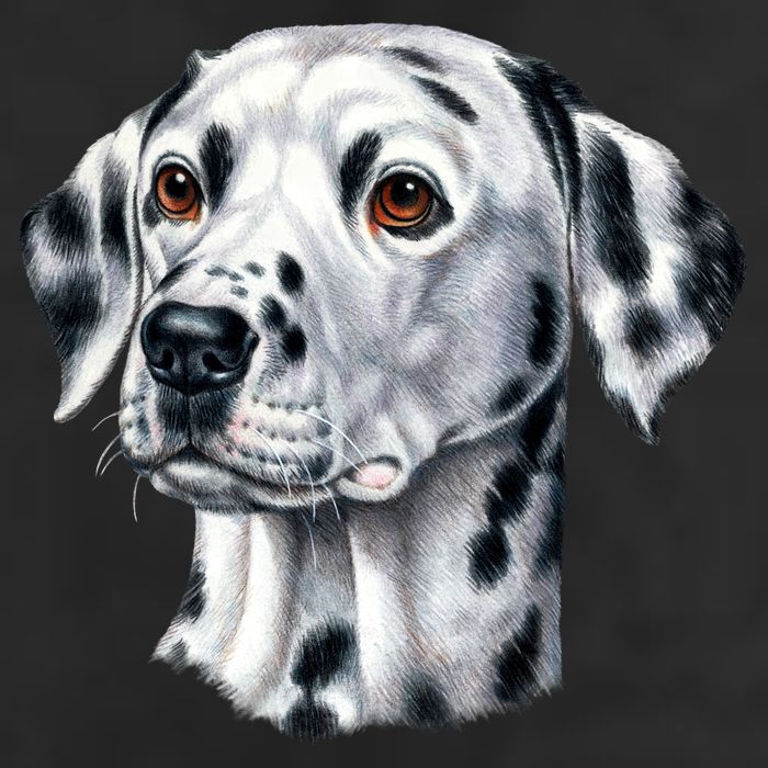Dalmatian Face 7 Panel Mesh Trucker Snapback Hat