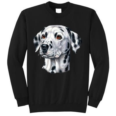 Dalmatian Face Sweatshirt