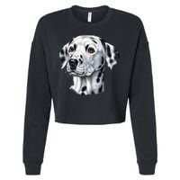 Dalmatian Face Cropped Pullover Crew