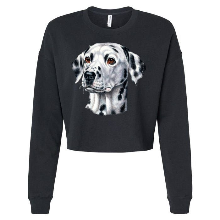 Dalmatian Face Cropped Pullover Crew