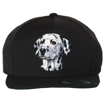 Dalmatian Face Wool Snapback Cap