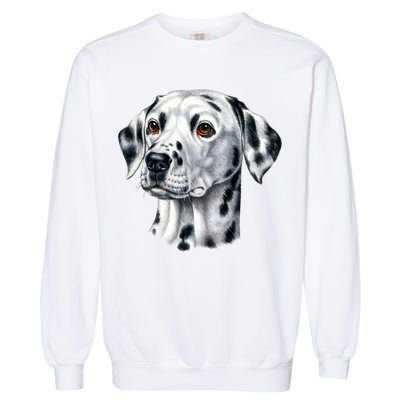 Dalmatian Face Garment-Dyed Sweatshirt
