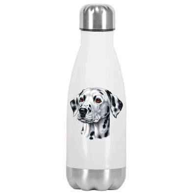 Dalmatian Face Stainless Steel Insulated Water Bottle