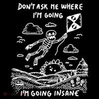 DonT Ask Me Where IM Going IM Going Insane T-Shirt