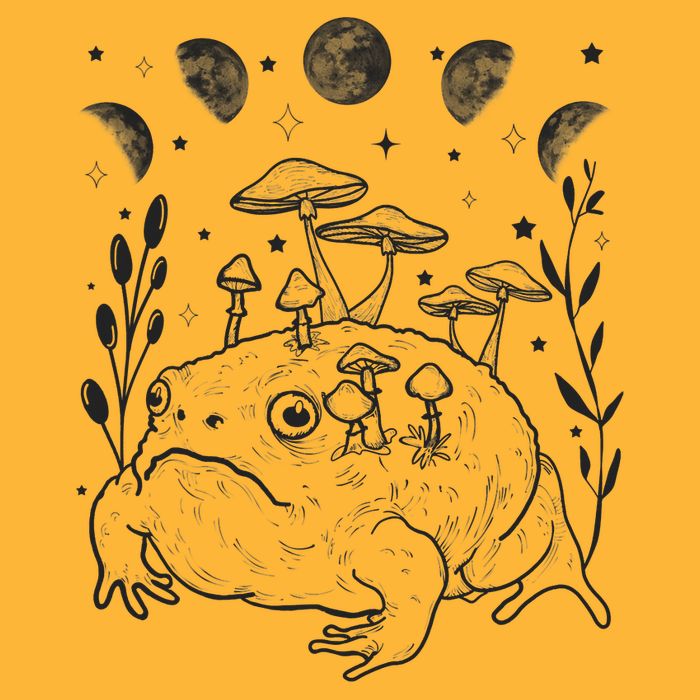 Dark Academia Moon Witchy Goblincore Aesthetic Frog Sustainable Knit Beanie