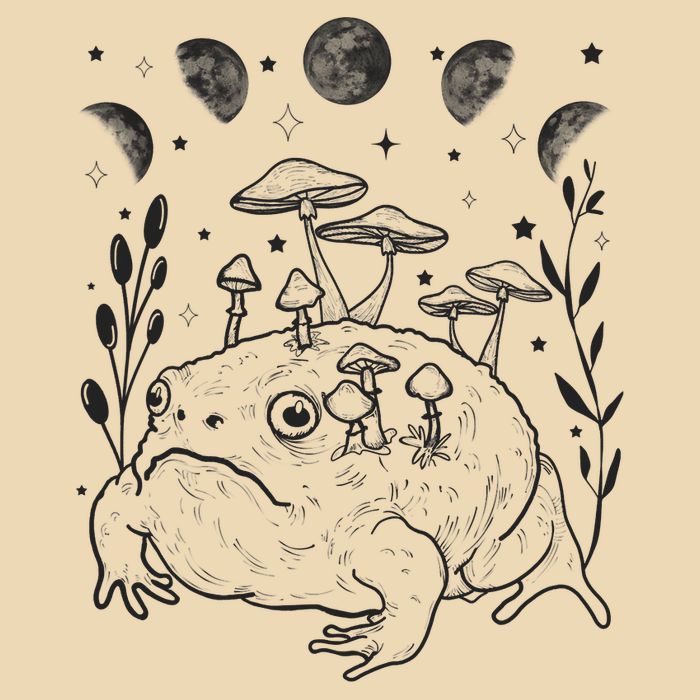 Dark Academia Moon Witchy Goblincore Aesthetic Frog Bag